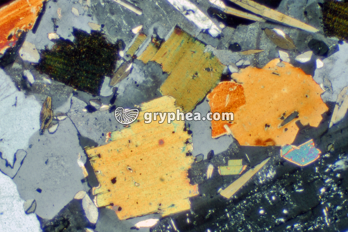 Biotite LPA x10 - gryphea.com